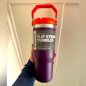 30 oz Flip Straw Stanley Cup